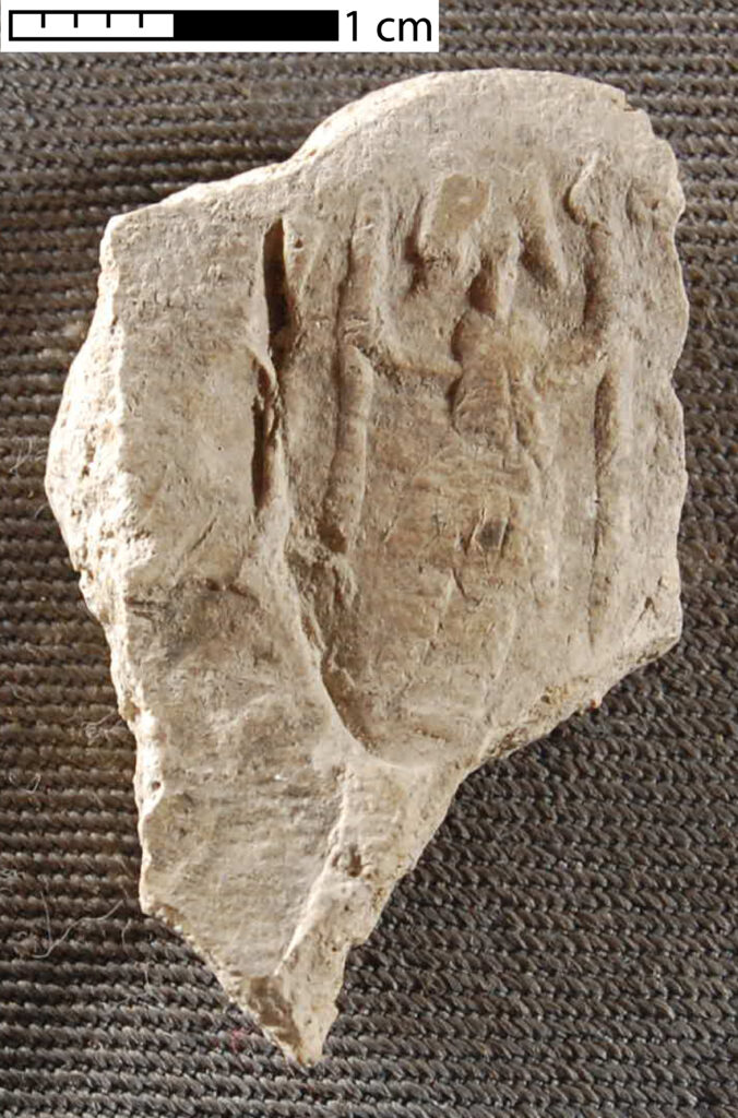 Fragment of seal impression with Gayomard motif.